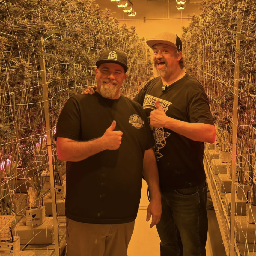 Wide view of VIP Growers greenhouse cultivation facility with lush green rows