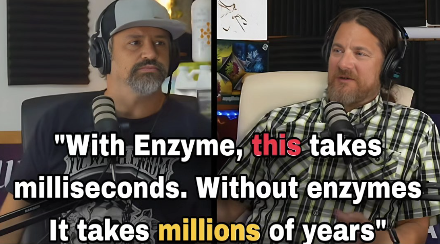 How Enzymes Speed Up Plant Processes 1,000,000x Faster