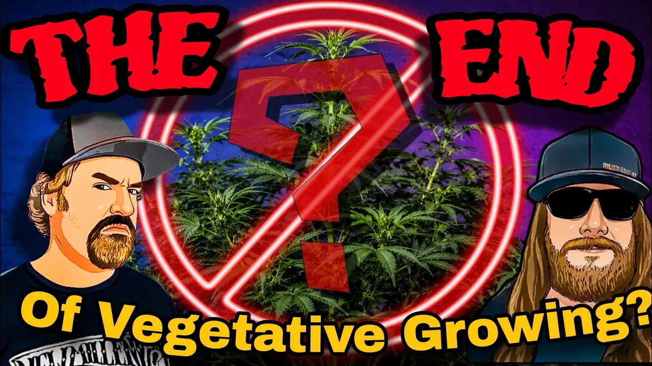 The No-Veg Grow Method More Growers Are Testing